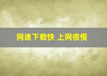 网速下载快 上网很慢